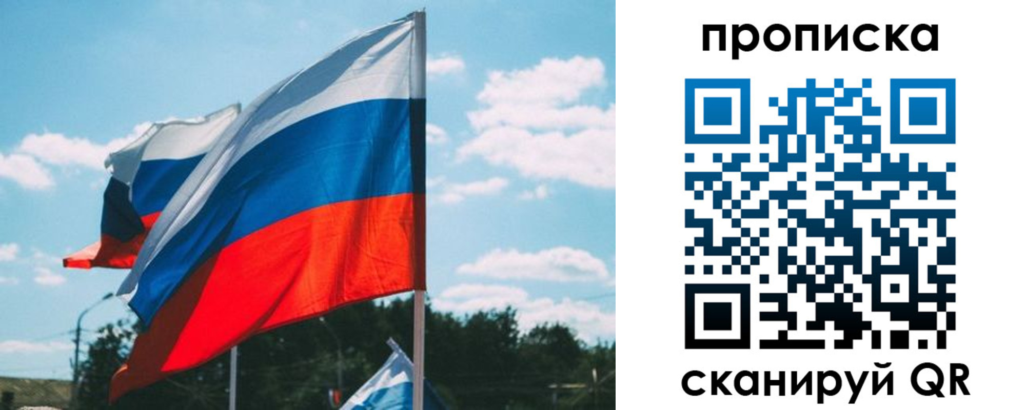 прописка поиск в Вольске