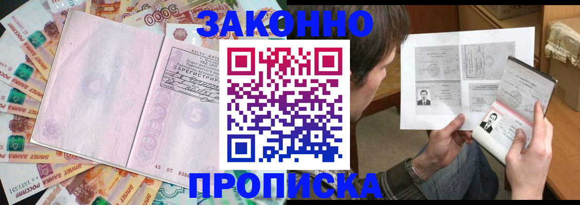 прописка для школы в Вольске